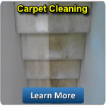 CARPET CLEANING